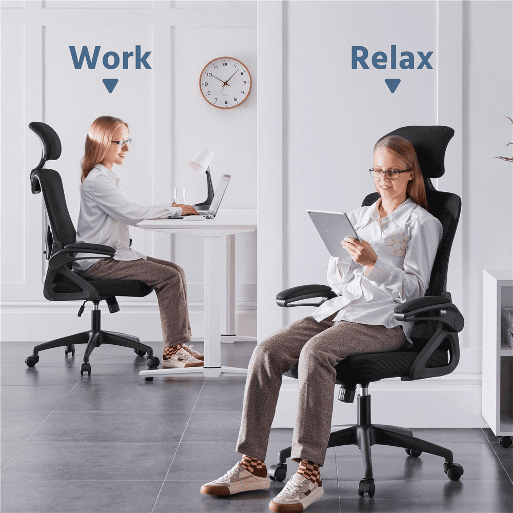 Alden Design High Back Ergonomic Mesh Office Chair with Adjustable Padded Headrest, Black